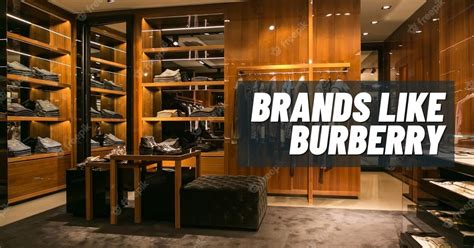 brands like burberry|burberry brand comparables.